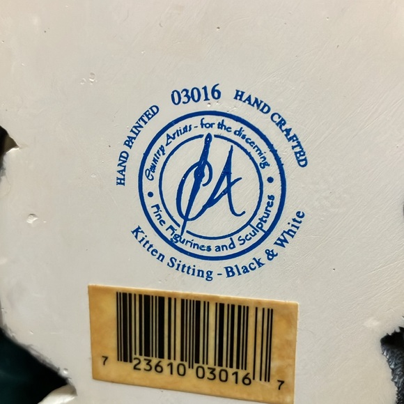 Beautiful black and white kitten sitting - Picture 8 of 11